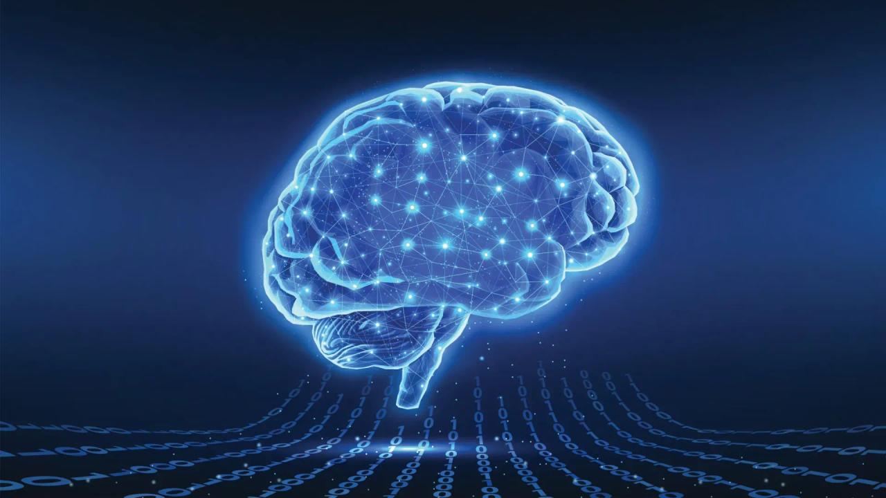 Human Brain's Intuitive Navigation Outperforms AI, Offering