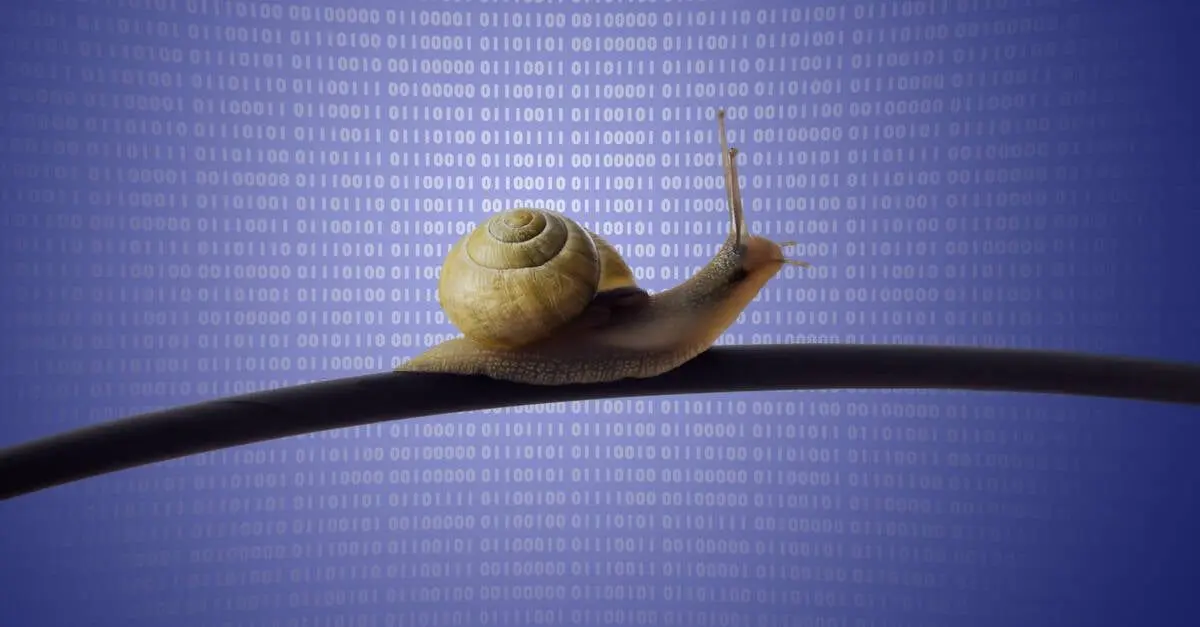 Source: The Register