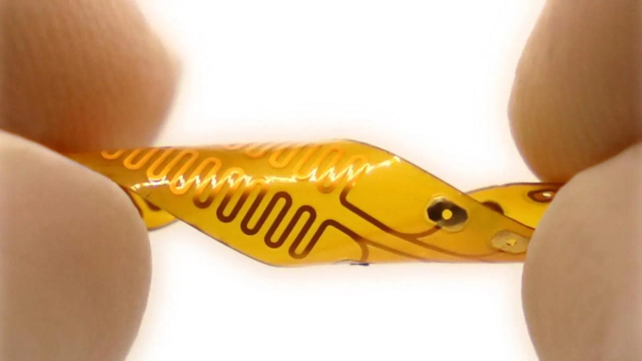 Source: ScienceDaily