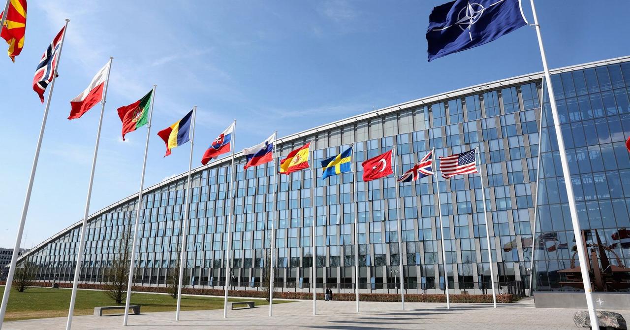 NATO Innovation Fund Invests in AI-Powered Biotech Startup