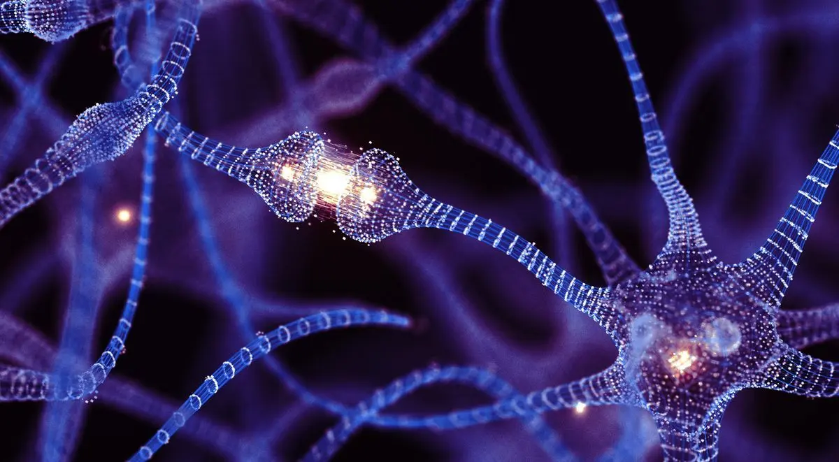 Source: Live Science