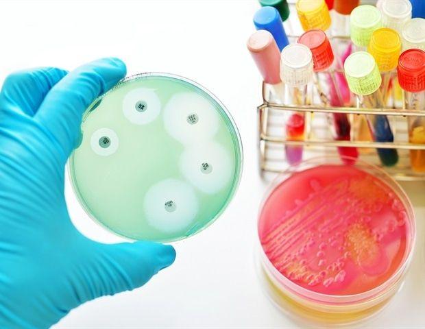 Source: News-Medical