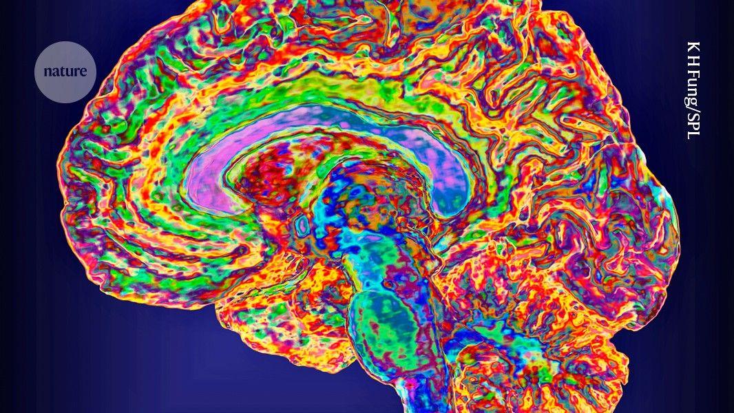 Brain Implant Decodes Inner Speech with Password