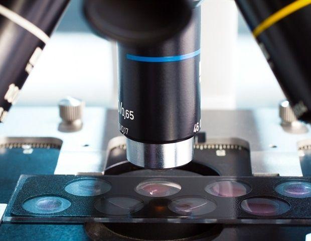 Source: News-Medical