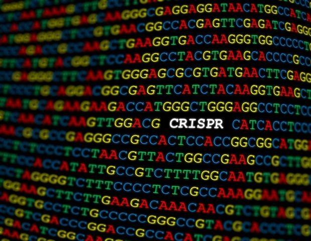 CRISPR-GPT: AI-Powered Gene Editing Assistant Accelerates