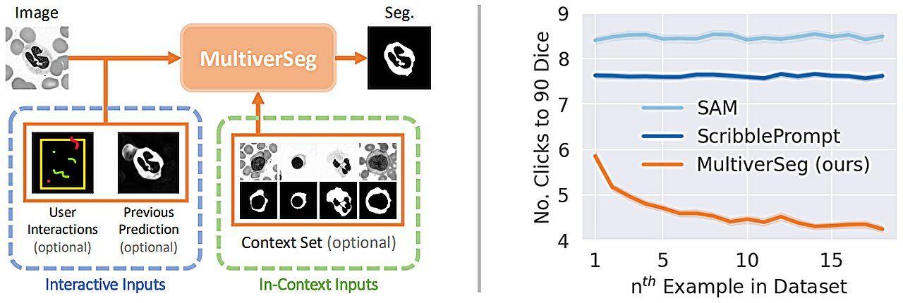 Source: Medical Xpress