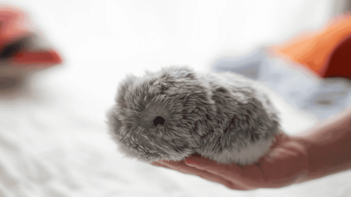 Source: Creative Bloq