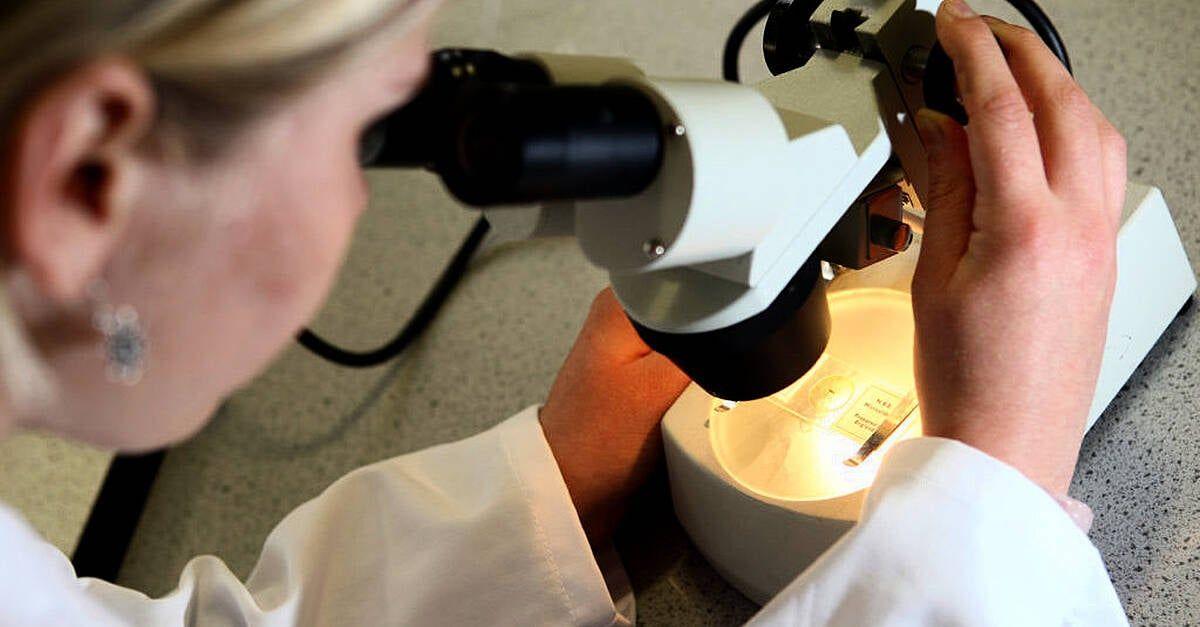 Source: BreakingNews.ie