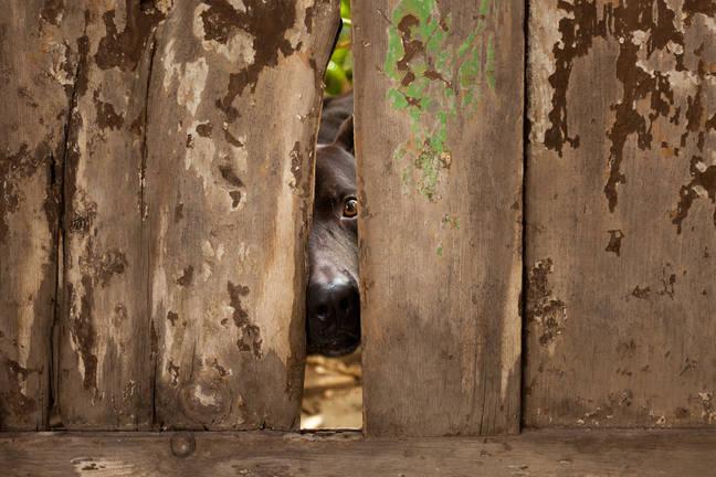 Source: The Register