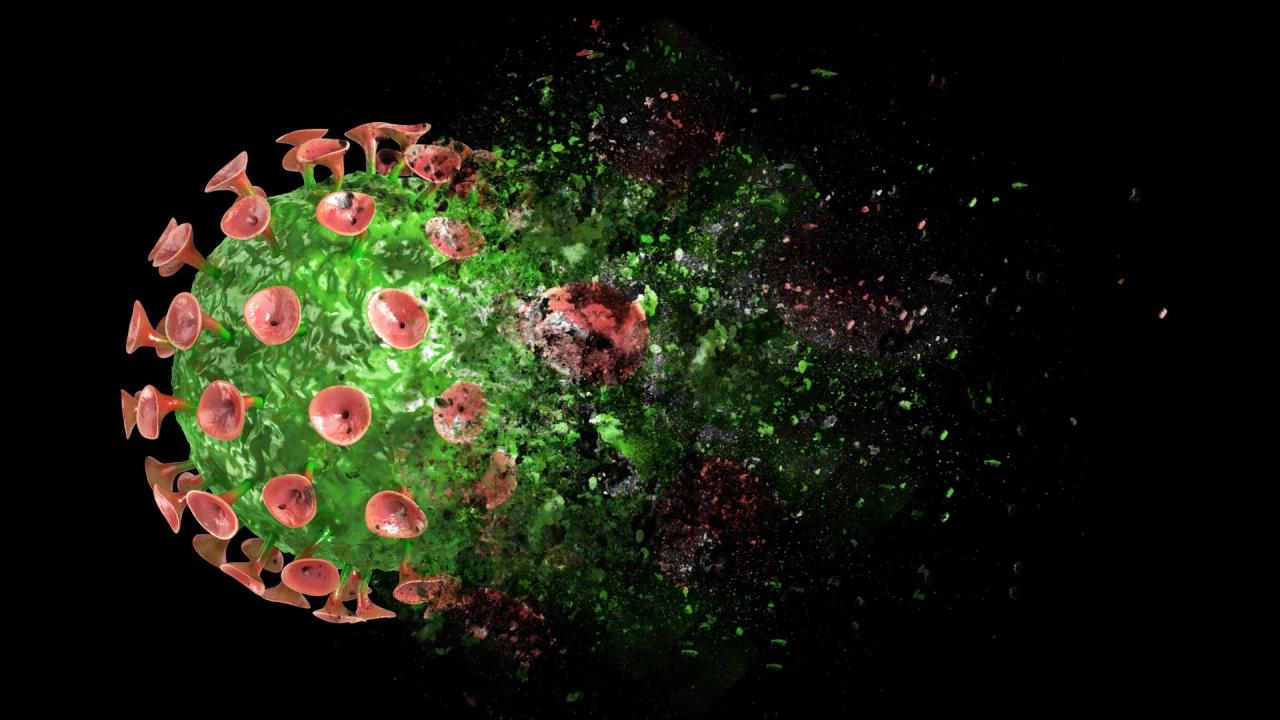 AI identifies single protein interaction that blocks virus