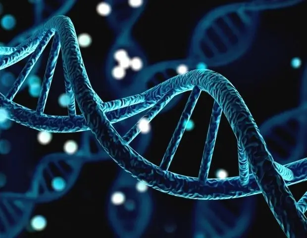 Source: News-Medical