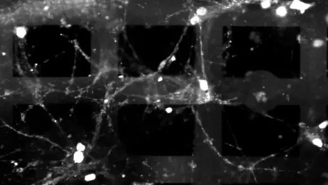 Princeton creates 3D neural network device that computes