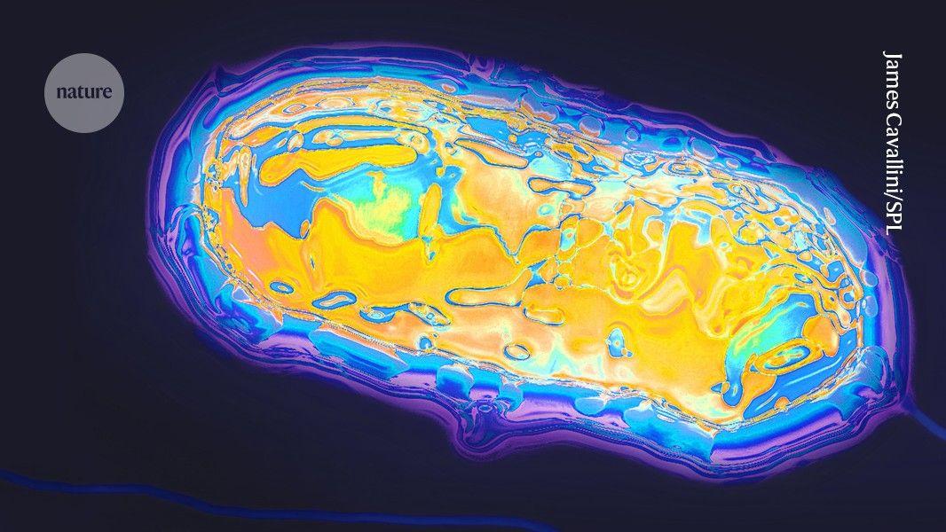 Scientists use AI to create bacteria that run key cellular