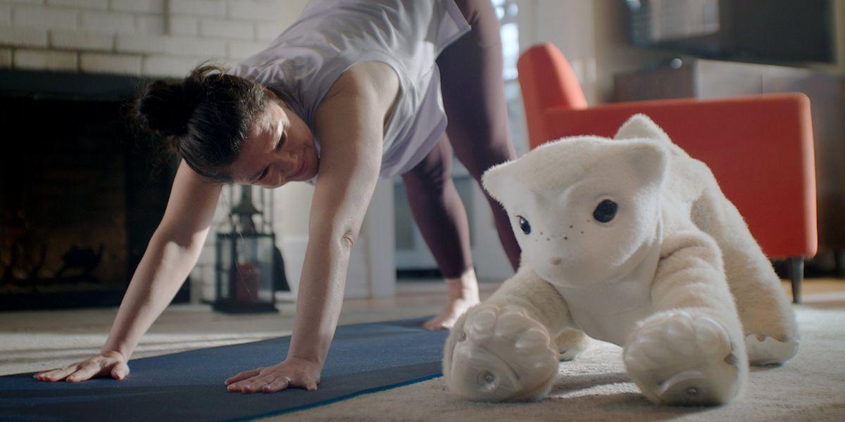 Roomba Creator Colin Angle Unveils AI Robot Companion That Learns Your Daily Routine