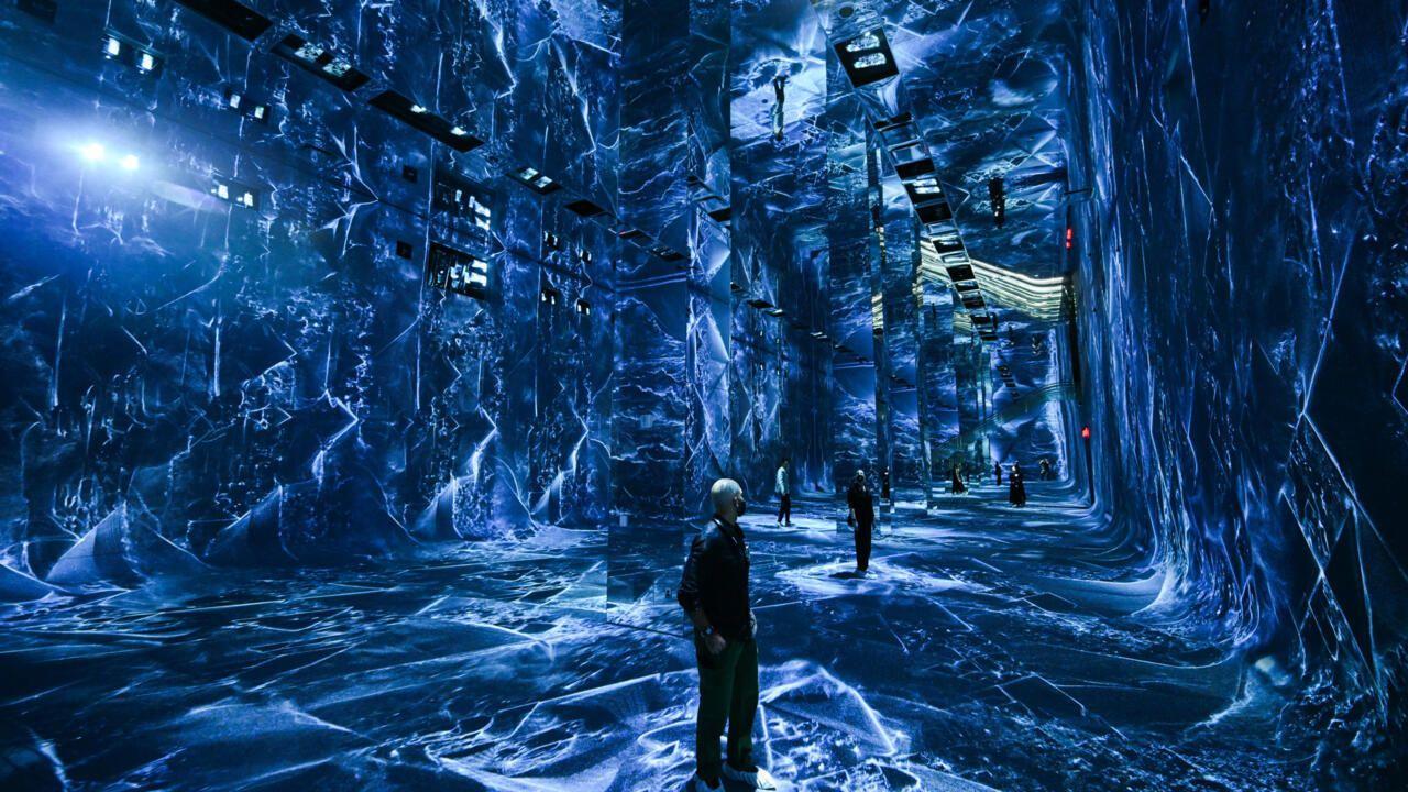 Dataland Opens as World's First AI Museum with Immersive Rainforest Experience in Los Angeles