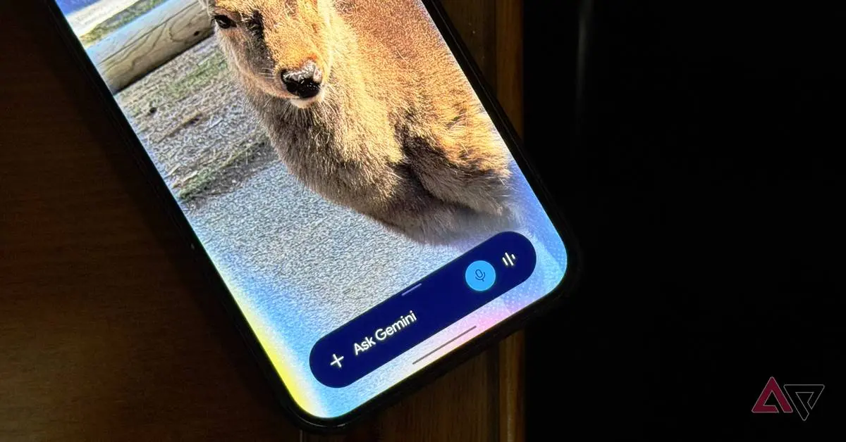 Source: Android Police