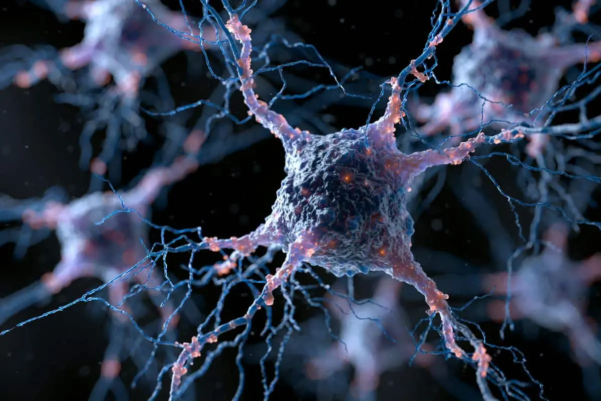 Source: Neuroscience News