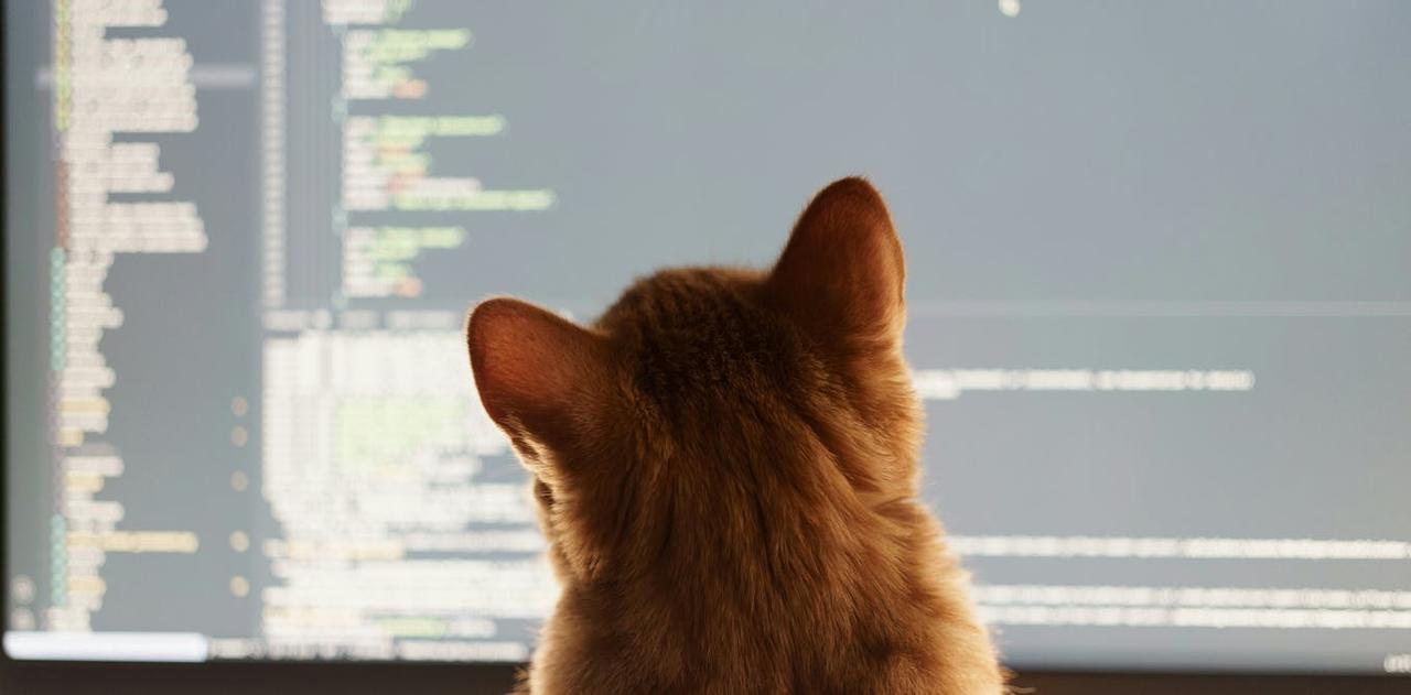 Vibe Coding Explodes in Popularity as Security Concerns and