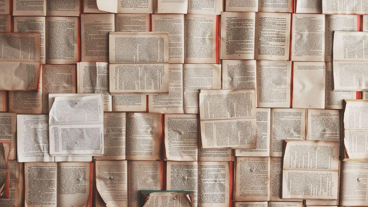 AI Companies Destroy Millions of Books, Including Rare Editions, for Training Data
