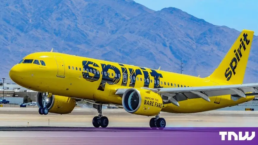 Google Pays $10 Million for Spirit Airlines Data to Train AI Models