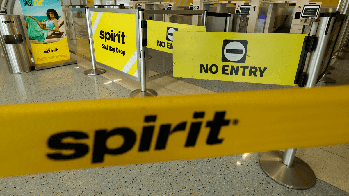 Google Acquires Spirit Airlines Data for $10 Million to Train AI Models Amid Privacy Concerns