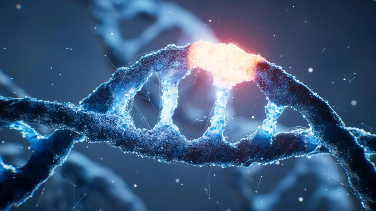 AI Decodes Hidden DNA Sequence Controlling Gene Activation