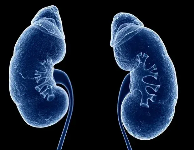 Source: News-Medical
