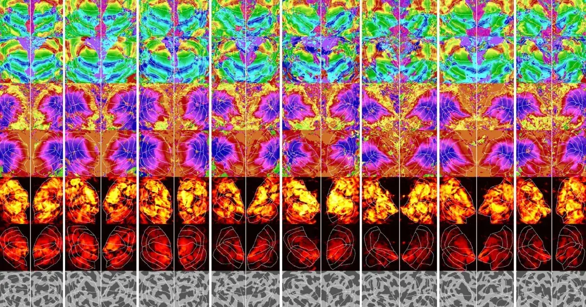 Source: Futurism