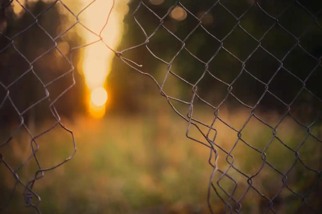 Over 400 AI Researchers Call for Air-Gapped Systems and