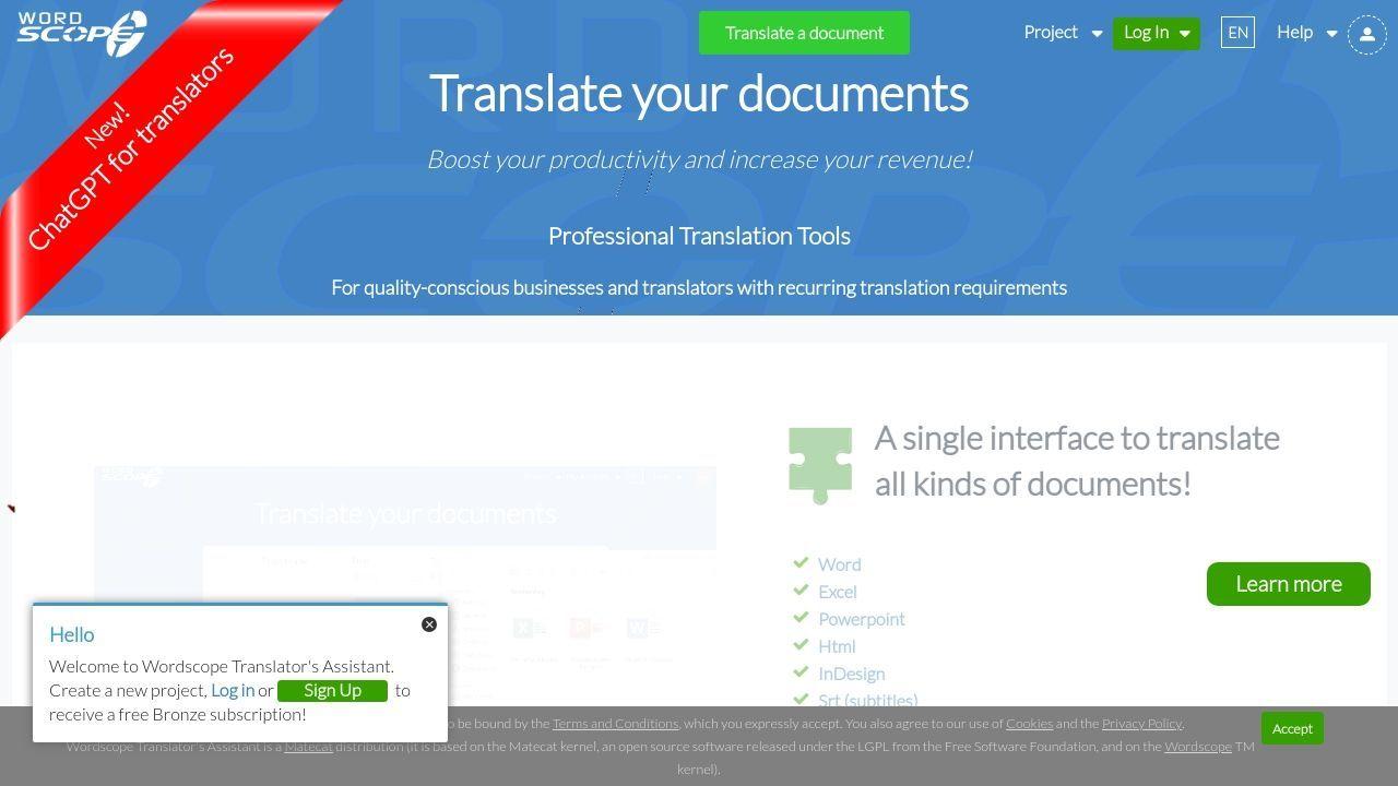 ChatGPT for Translators Image