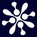 Deepopinion logo