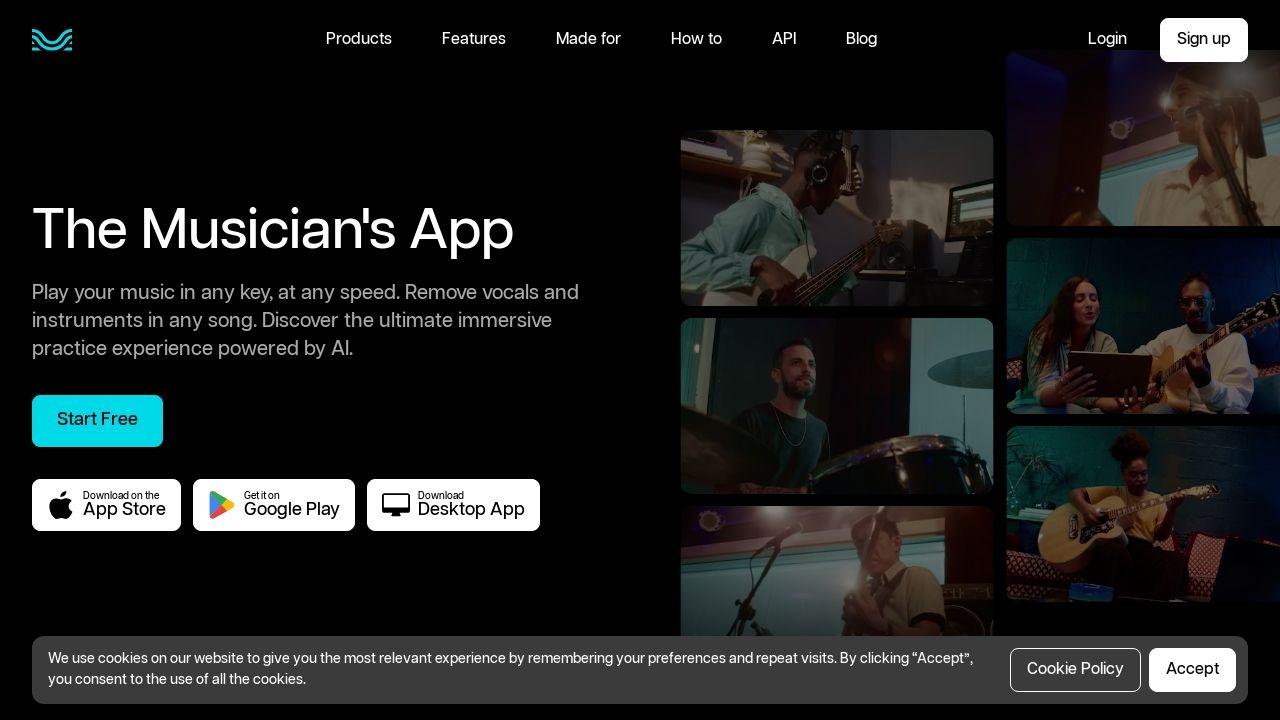 Moises App Image