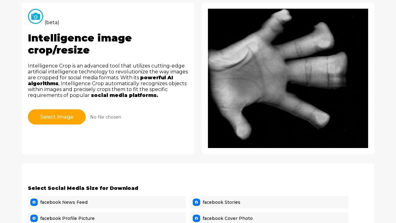 Photostockeditor Image