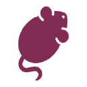 Tolgee AI Translator logo