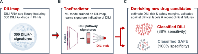 Newsletter subscribe Image