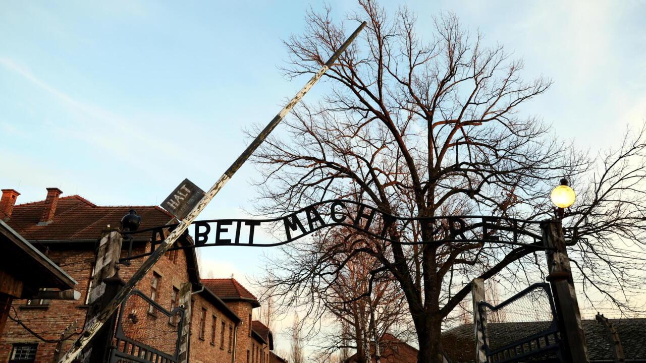 Newsletter subscribe Image