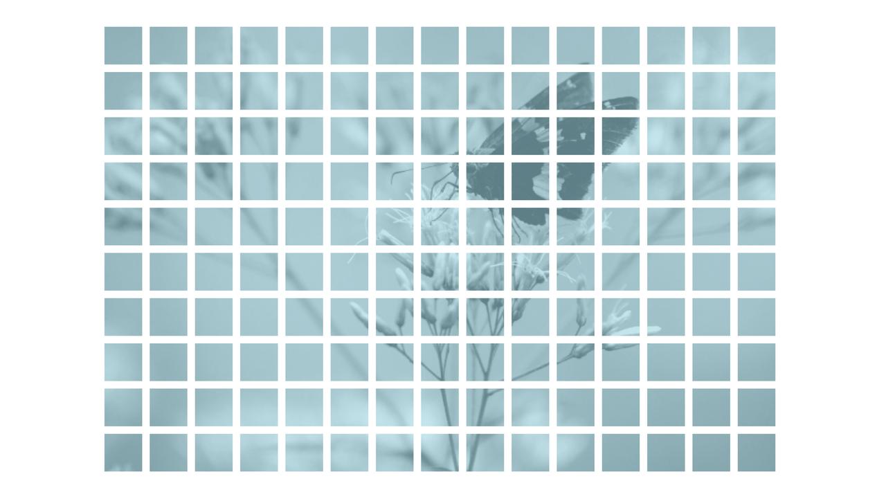 Newsletter subscribe Image