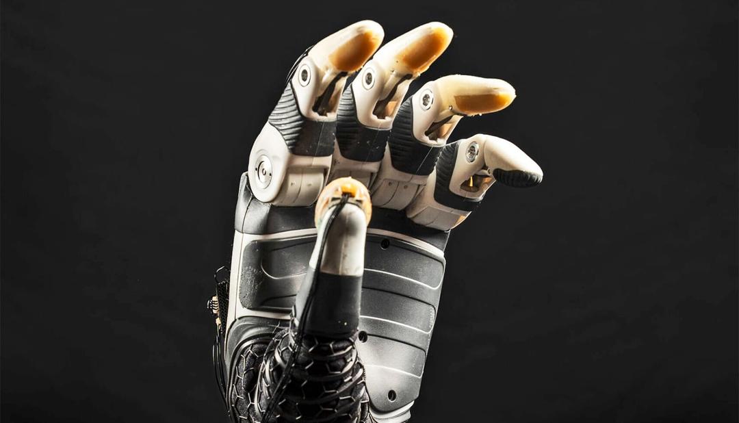 AI Co-Pilot for Bionic Hands Helps Amputees Grasp