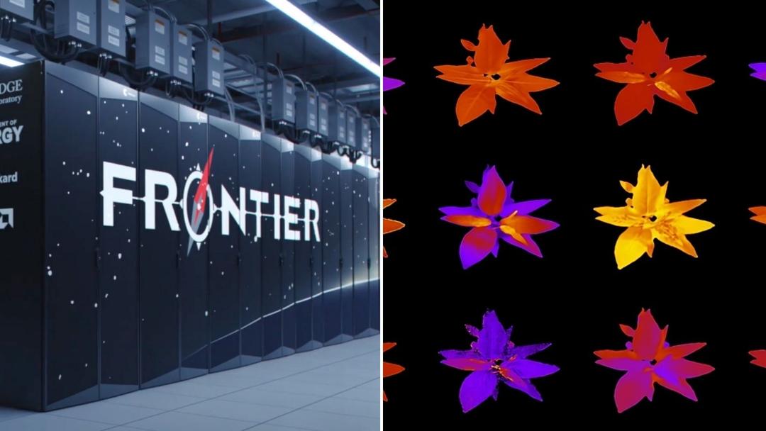 Exascale Supercomputer Speeds Plant Research AI
